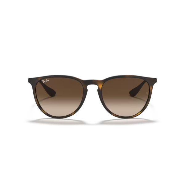 Ray Ban Erika 4171L 865/13 54