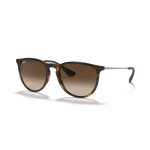 Ray Ban Erika 4171L 865/13 54 - Imagen 2