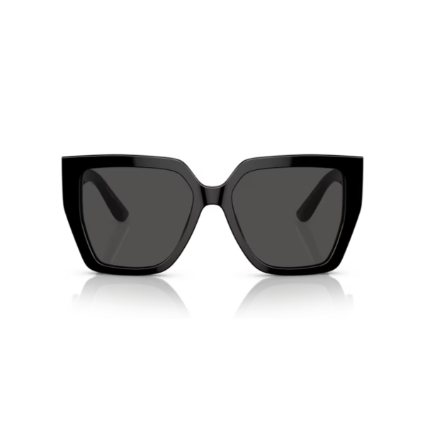 Dolce Gabbana 4438 501/87 55