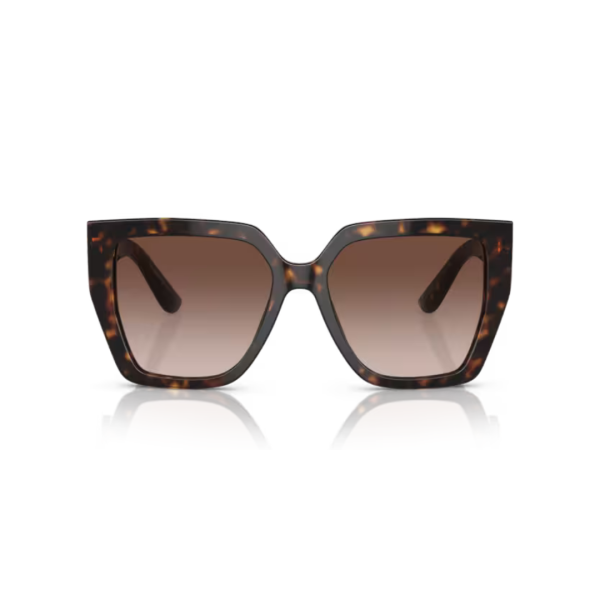 Dolce Gabbana 4438 502/13 55