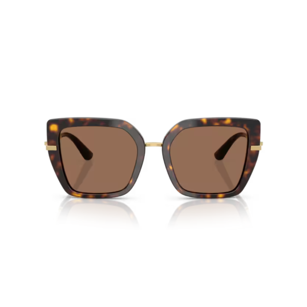 Dolce Gabbana 4474 502/73 53