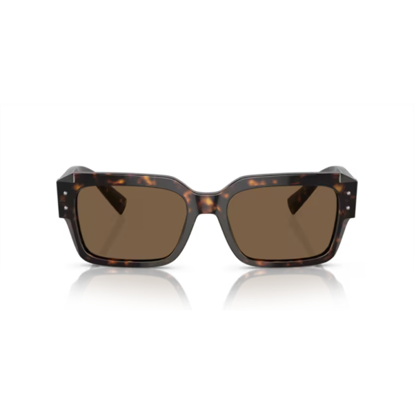 Dolce Gabbana 4460 502/73 53