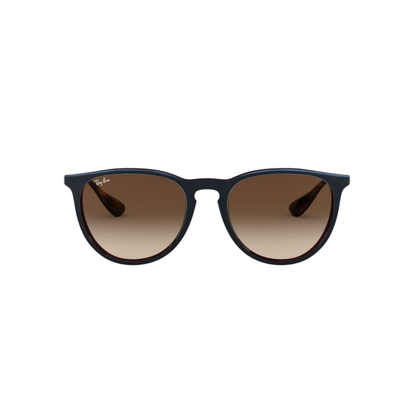 Ray Ban Erika Classic 4171 6315/13 54 3N