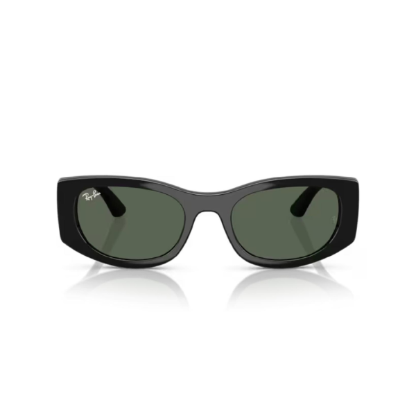 Ray Ban 4446L 667771