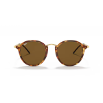 Ray Ban Round Fleck 2447 1160 49