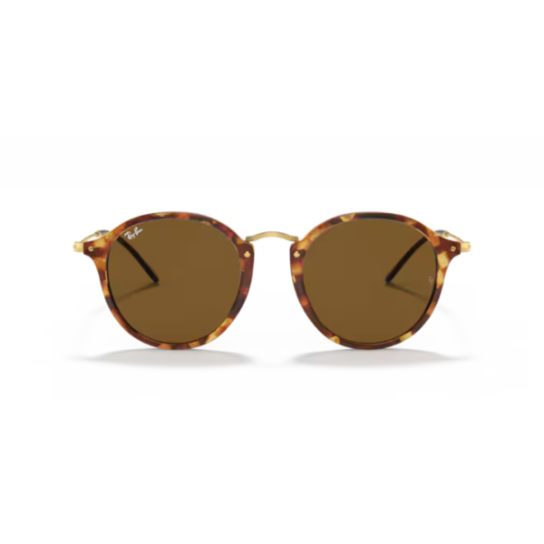 Ray Ban Round Fleck 2447 1160 49