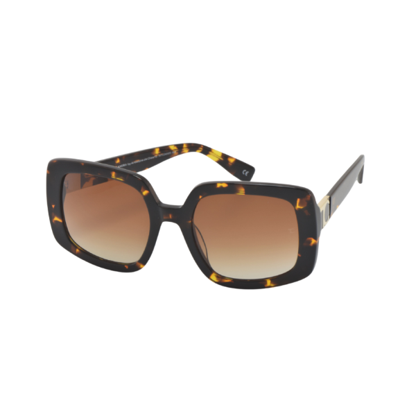 TC Ashley Tortoise