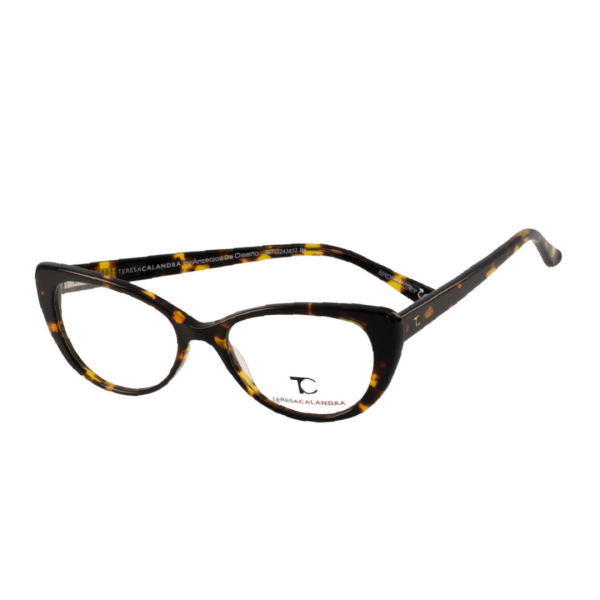 TC C20Z Tortoise