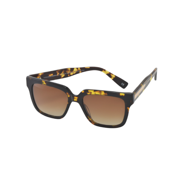 TC Frances Tortoise