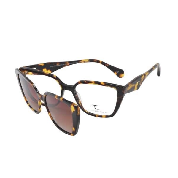 TC Hilary Clip On Tortoise