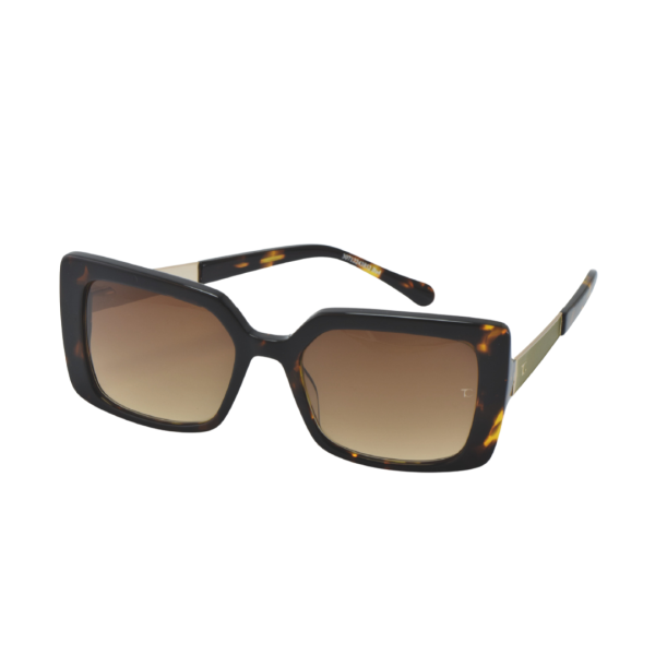TC Julianne Tortoise
