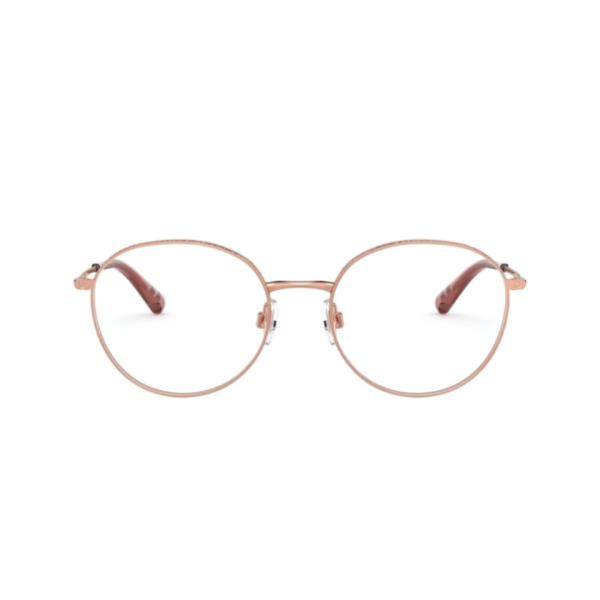 Dolce Gabbana DG 1322 1298 53