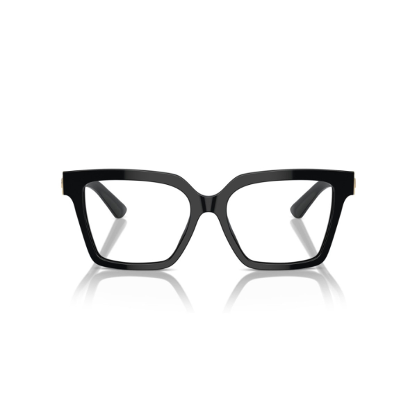 Dolce Gabbana DG 3395 501 53