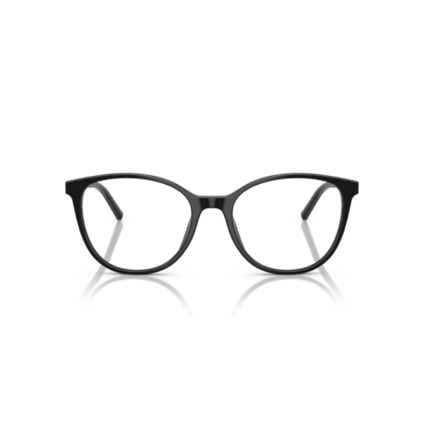 Dolce Gabbana DG 3425 501 54