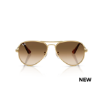 Ray Ban Aviator Max RB 3925 001/51 58