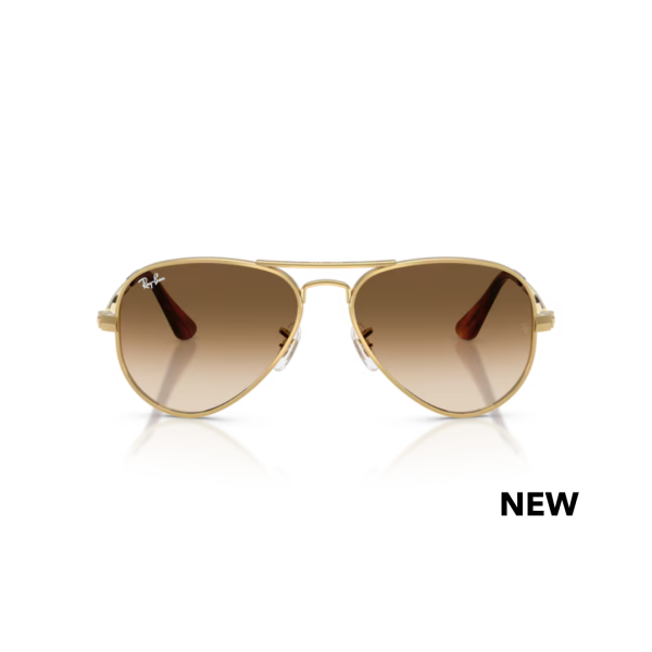 Ray Ban Aviator Max RB 3925 001/51 58