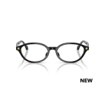 Versace 3393D GB1 53