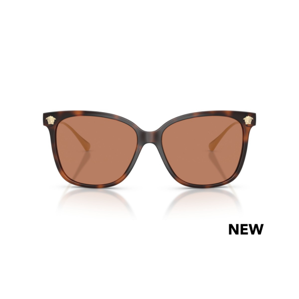 Versace 4507U 108/73 57