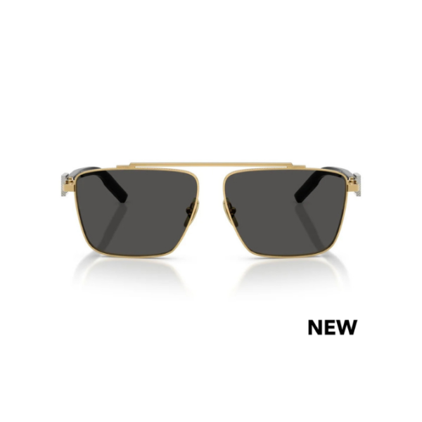 Dolce & Gabbana DG 2336 02/87 59