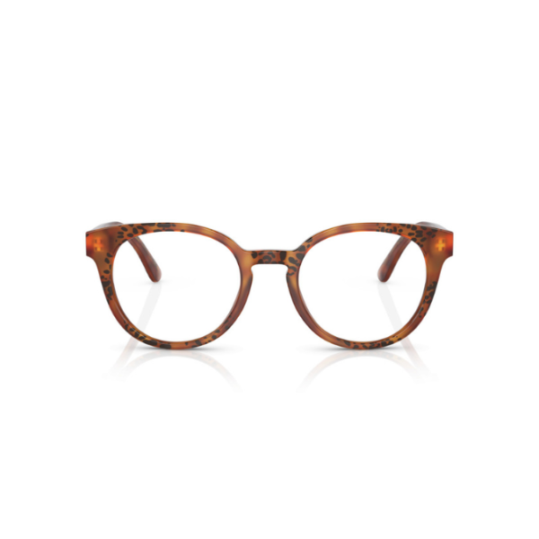 Dolce & Gabbana DG 3361 3380 50