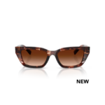 Dolce & Gabbana DG 4532 322274 53