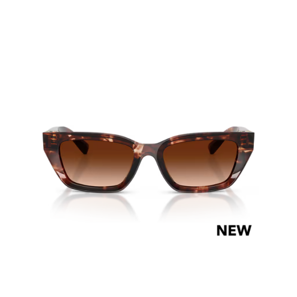 Dolce & Gabbana DG 4532 322274 53