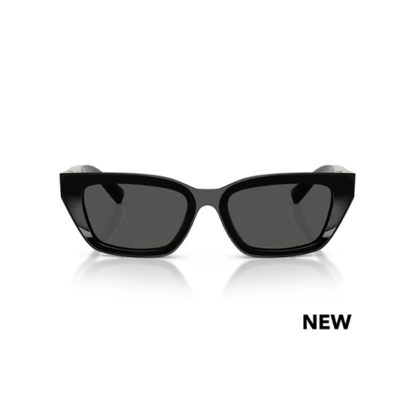 Dolce & Gabbana DG 4532 501/87 53