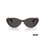Jimmy Choo 5064D 500287 55