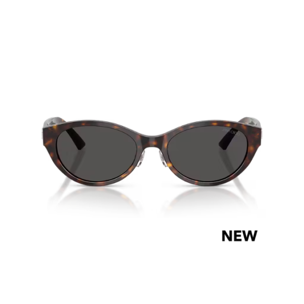 Jimmy Choo 5064D 500287 55