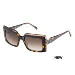 Teresa Calandra Cheryl Tortoise