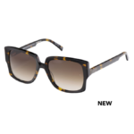 Teresa Calandra Rose Tortoise